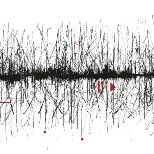 Les ateliers multi-médias : Podcasts